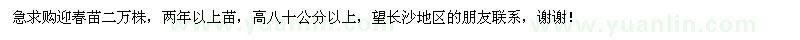 求购高80公分以上迎春小苗