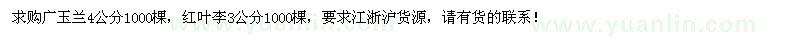 求购4公分广玉兰、3公分红叶李