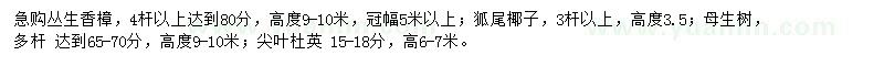 求购香樟、狐尾椰子、母生树等