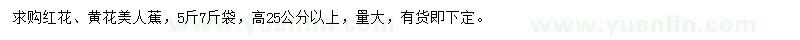 求购高25公分以上红花、黄花美人蕉