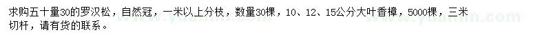 求购50量30公分罗汉松、10、12、15公分大叶香樟