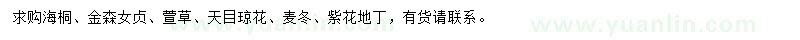 求购海桐、金森女贞、萱草等