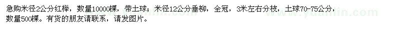 求购米径2公分红榉、12公分垂柳