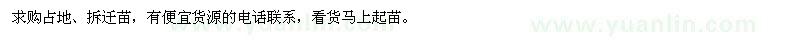 求购占地、拆迁苗