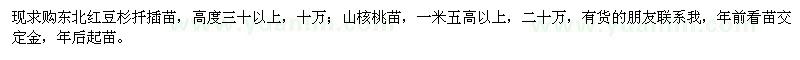 求购高30公分以上东北红豆杉扦插苗、1.5米以上山核桃苗