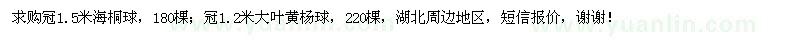 求购冠1.5米海桐球、冠1.2米大叶黄杨球