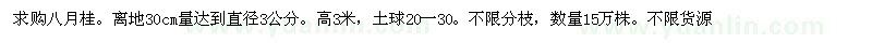 求购高3米八月桂