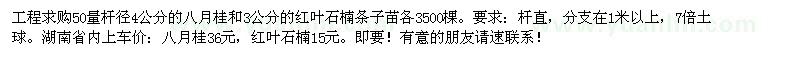 求购50量杆径4公分八月桂、红叶石楠条子