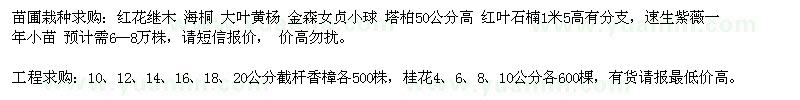 求购红花继木、海桐、金森女贞等