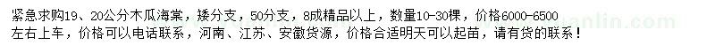 求购19、20公分木瓜海棠