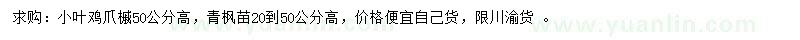 求购高50公分小叶鸡爪槭、20-50公分青枫苗