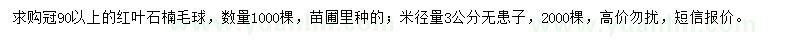 求购冠90公分以上红叶石楠毛球、米径量3公分无患子