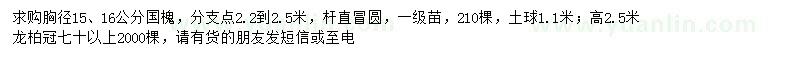 求购胸径15、16公分国槐、高2.5米龙柏