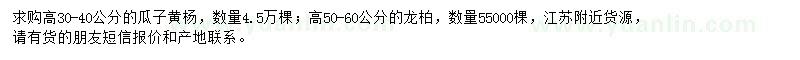 求购高30-40公分瓜子黄杨、高50-60公分龙柏