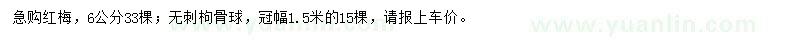 求购6公分红梅、冠幅1.5米无刺枸骨球