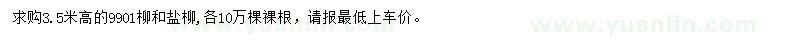 求购3.5米高9901柳、盐柳