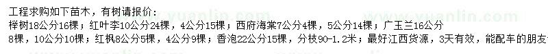 求购榉树、红叶李、西府海棠等