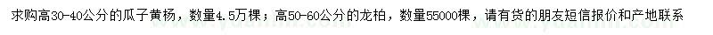 求购高30-40公分瓜子黄杨、50-60公分龙柏