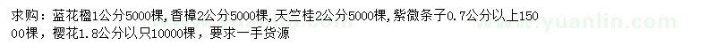 求购蓝花楹、香樟、天竺桂等