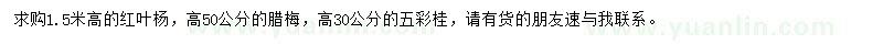 求购红叶杨、腊梅、五彩桂