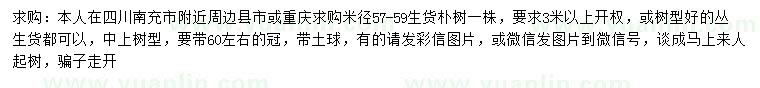 求购米径57-59公分朴树