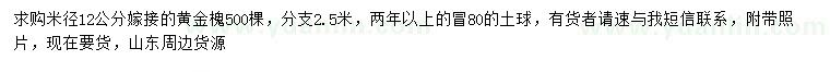 求购米径12公分黄金槐