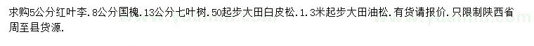 求购红叶李、国槐、七叶树等