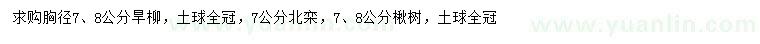 求购旱柳、北栾、楸树