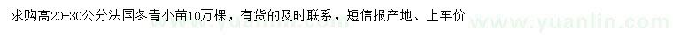 求购高20-30公分法国冬青小苗