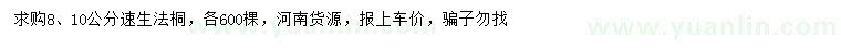 求购8、10公分速生法桐