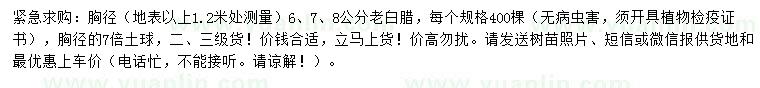 求购1.2米量6、7、8公分老白蜡