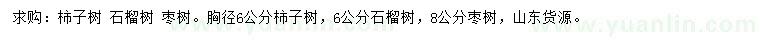 求购柿子树、石榴树、枣树