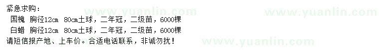 求购胸径12公分国槐、白蜡