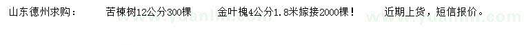 求购12公分苦楝树、4公分金叶槐