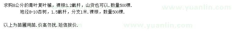 求购8公分青叶复叶槭、地径8-10公分杏树