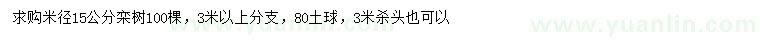 求购米径15公分栾树