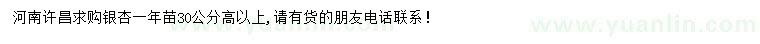 求购高30公分以上银杏