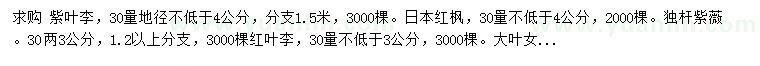 求购紫叶李、日本红枫、独杆紫薇等