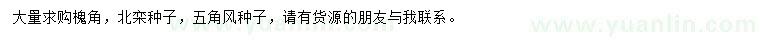 求购槐角种子、北栾种子、五角风种子