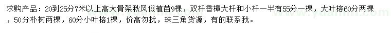 求购秋枫、香樟、大叶榕等