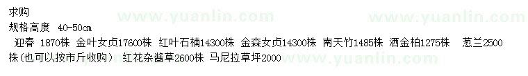 求购迎春、金叶女贞、红叶石楠等