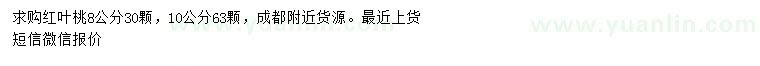 求购8、10公分红叶桃