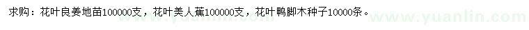 求购花叶良姜、花叶美人蕉、花叶鸭脚木种子