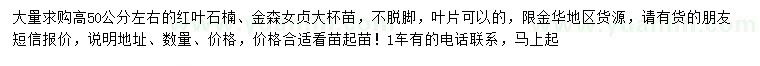 求购高50公分红叶石楠、金森女贞