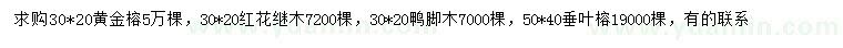 求购黄金榕、红花继木、鸭脚木等