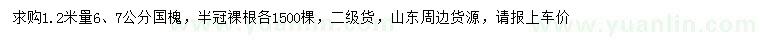 求购1.2米量6、7公分国槐