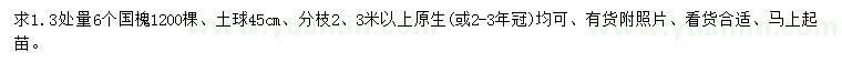 求购1.3量6公分国槐