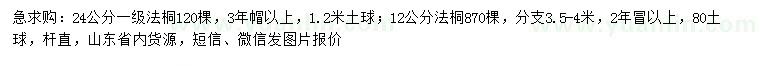 求购12、24公分法桐