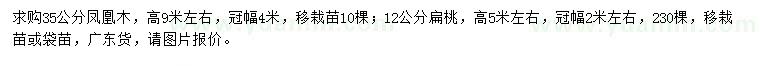 求购35公分凤凰木、12公分扁桃