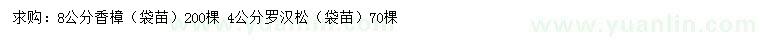 求购8公分香樟、4公分罗汉松